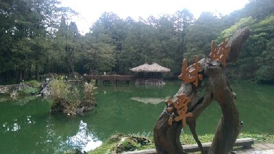 IMAG4912.jpg?type=w773