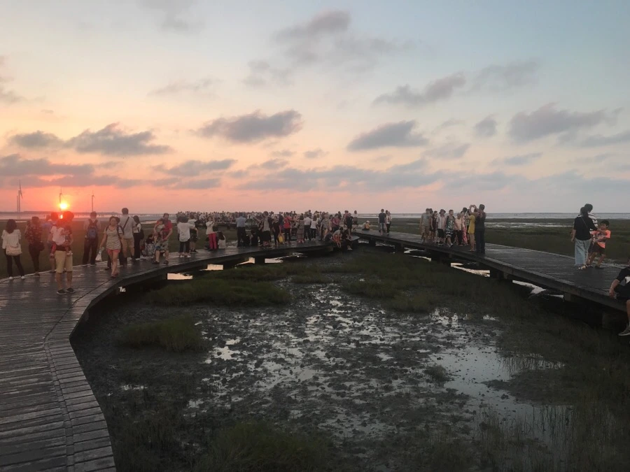 IMG_3328.jpg?type=w966