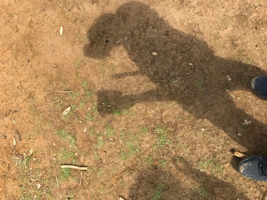 IMG_3666.jpg?type=w966