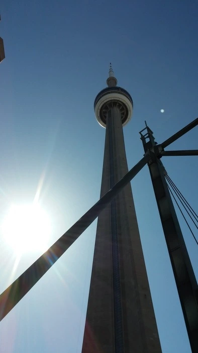 266A4D4C5398BCE305.jfif