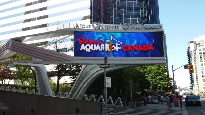 2106E44D5398BC3305.jfif