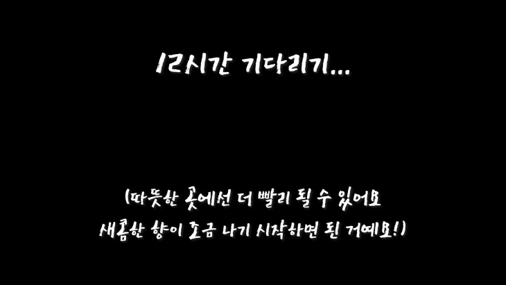 img_3485.00_02_25_13.still019.jpg?w=730