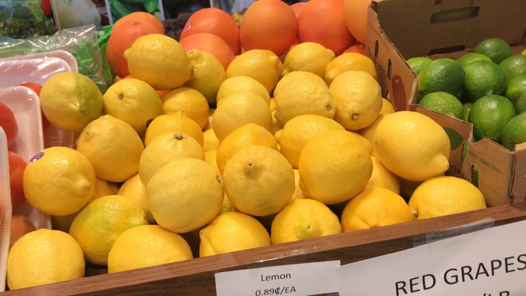 img_5355.00_00_50_20.still005.jpg?w=1024