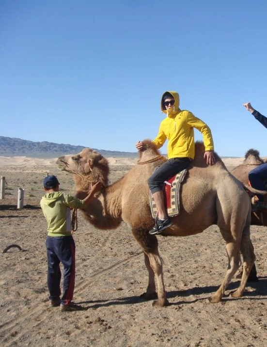 IMG_1316(1).PNG?type=w1