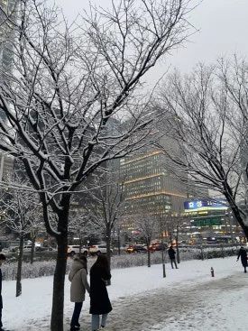 IMG_1201.JPG?type=w275