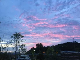 IMG_2606.JPG?type=w275