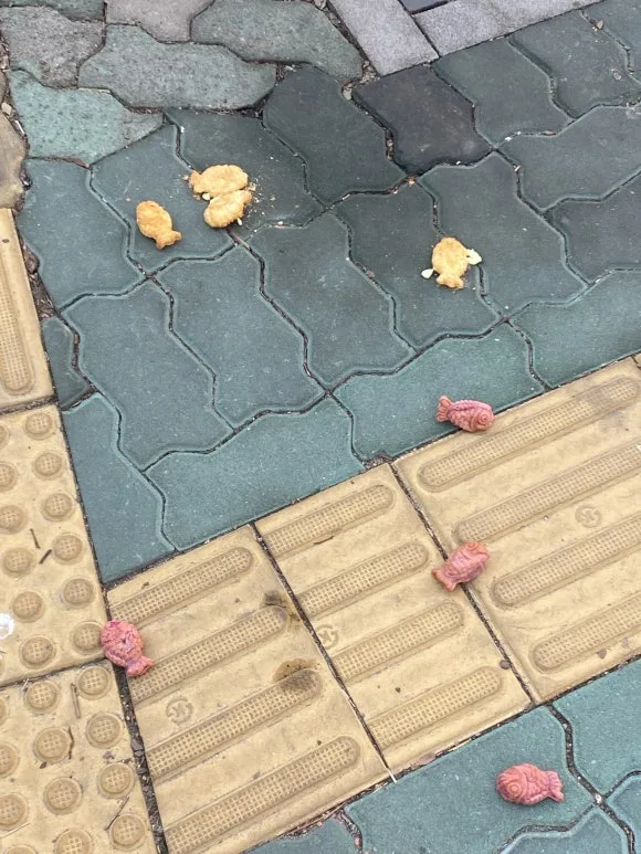 KakaoTalk_20251206_105359587.jpg?type=w580