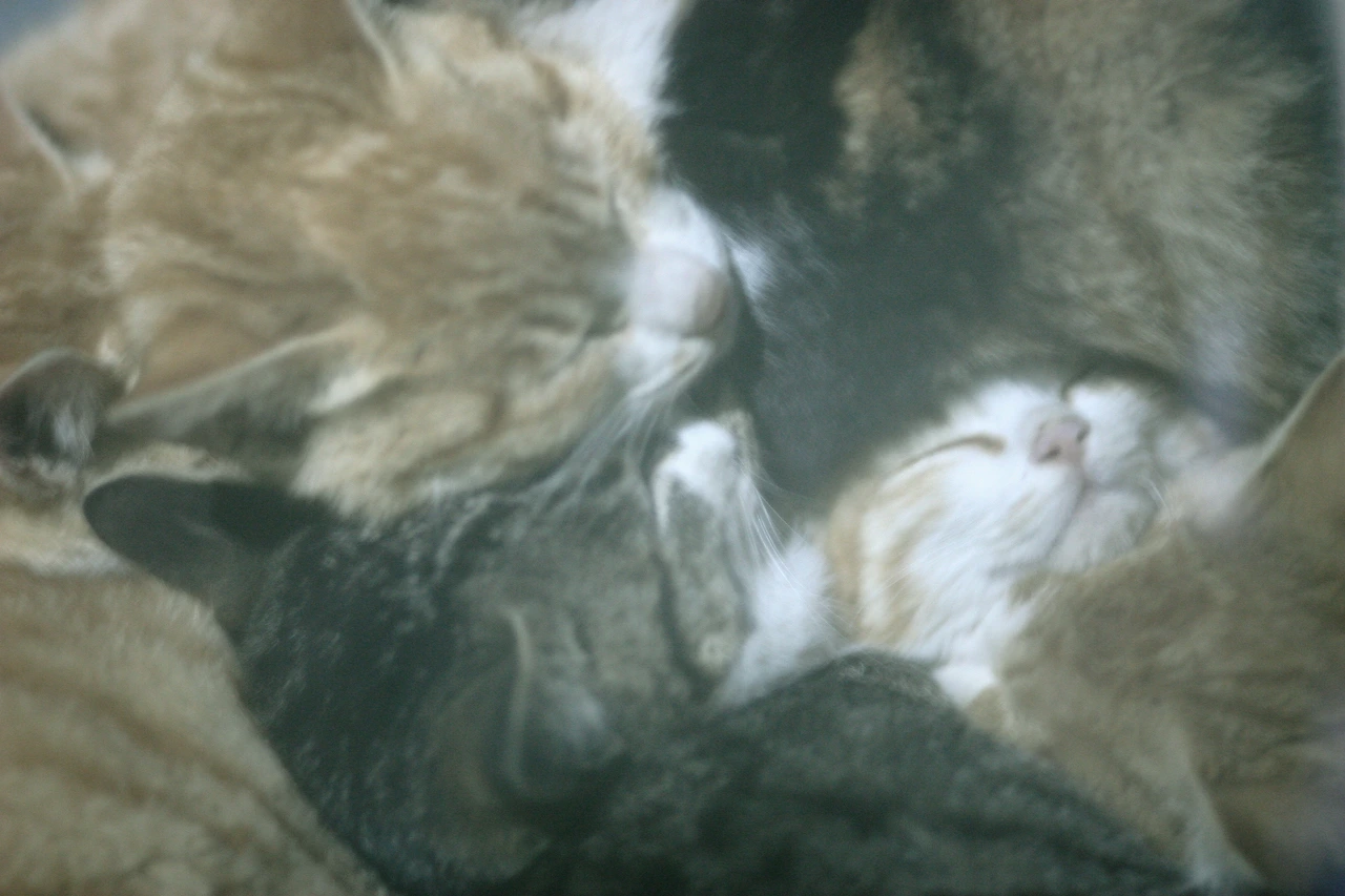 2월 1일 목요일 오후 10시.JPG