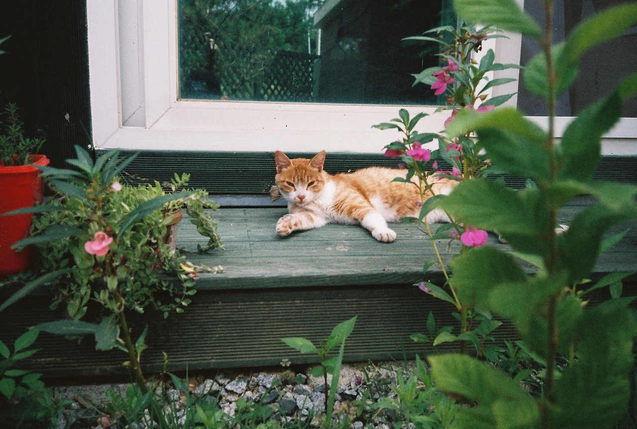 ~ 7월 6일 쯤 (22).JPG