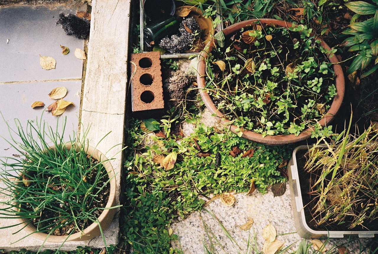 ~10월 8일 코닥 200 (10).JPG