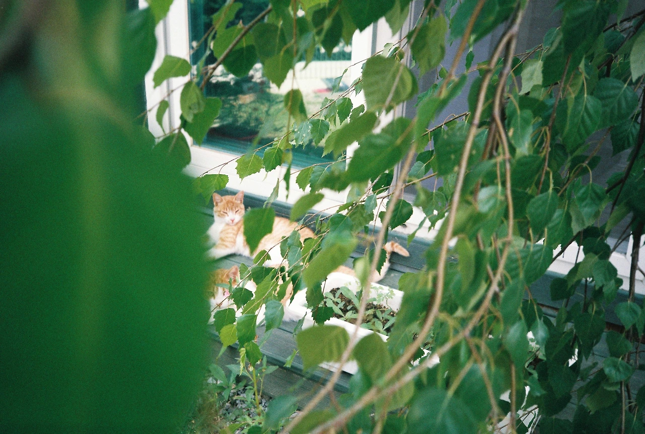 ~ 7월 6일 쯤 (9).JPG