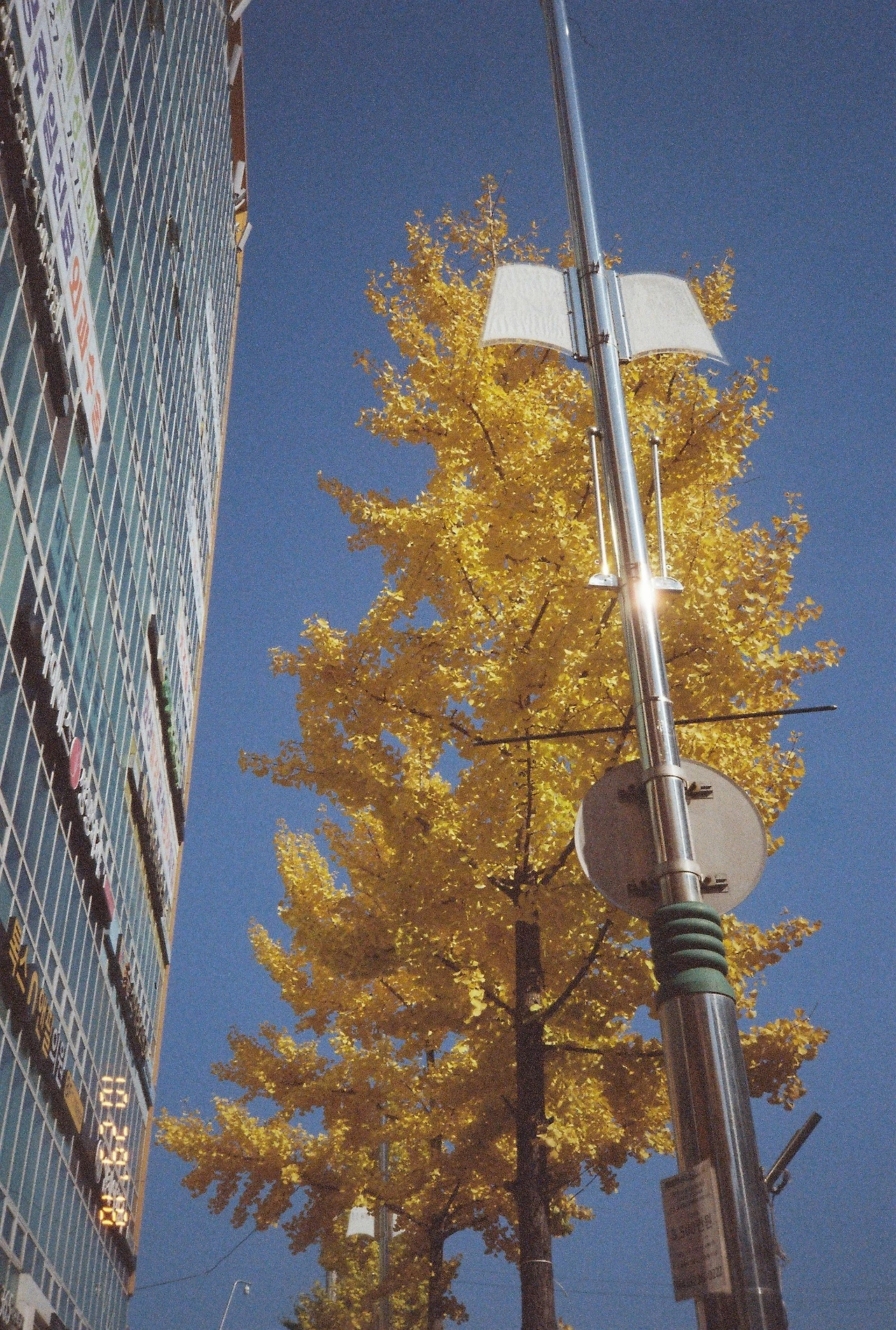 10월 30일 화요일 (1).JPG