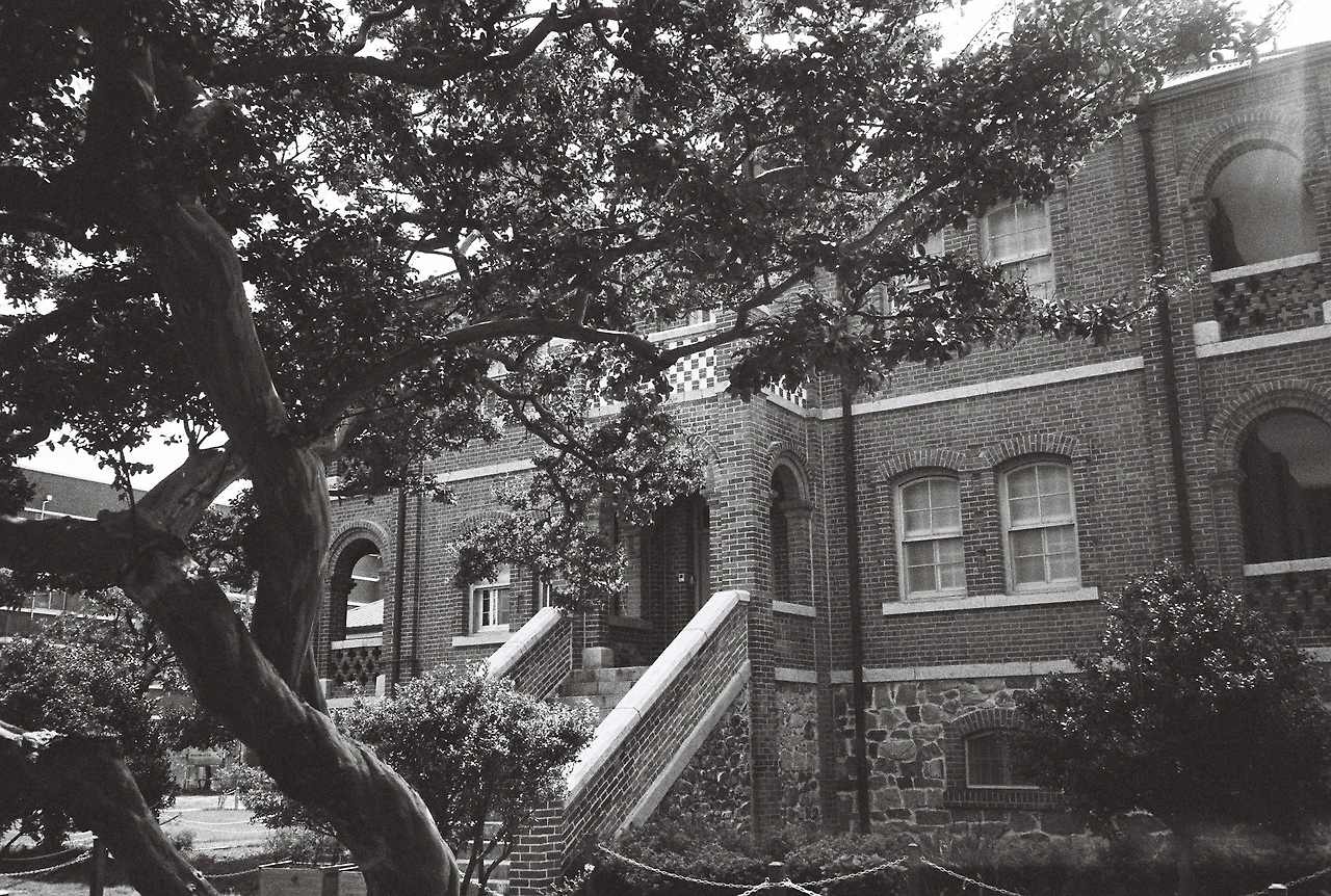 ~9월 10일 코닥 프로이미지 400 (10).JPG