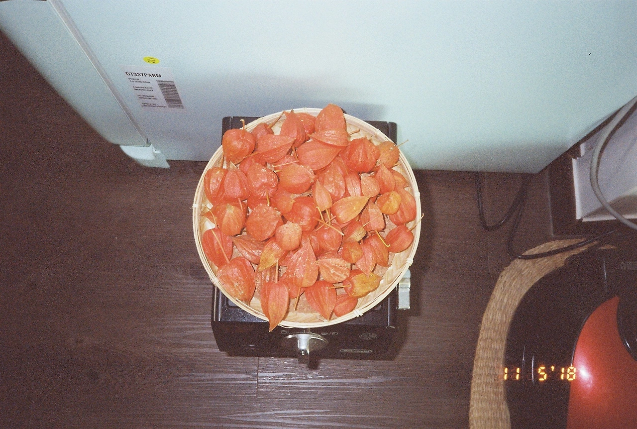 라이카미니 (31).JPG