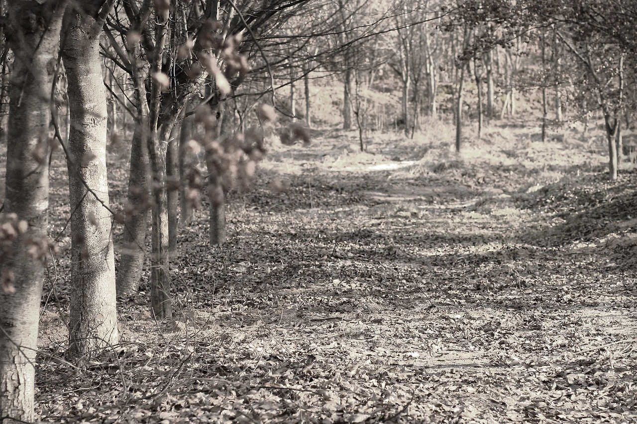 12월 25일 월요일 오후 3시.JPG