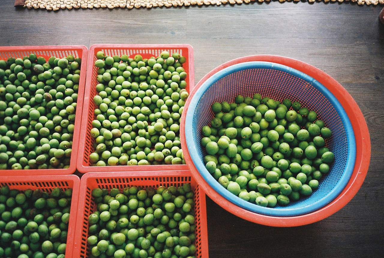 ~ 6월 22일 (12).JPG