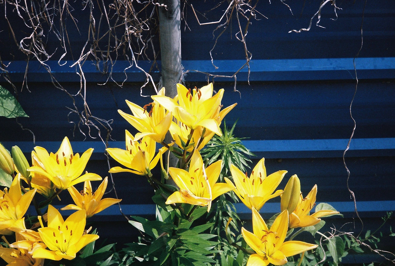 ~ 7월 6일 쯤 (19).JPG