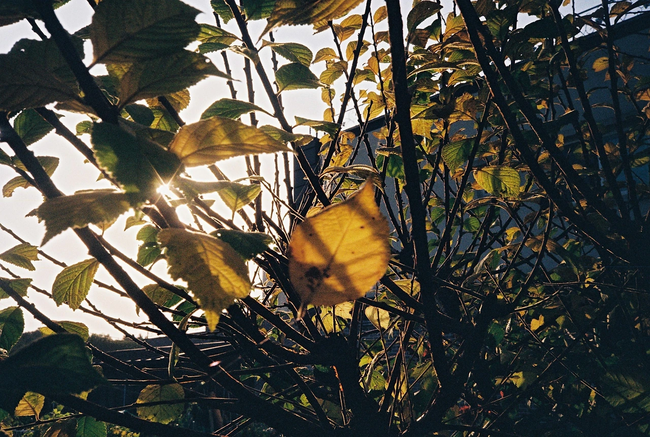 코닥200-1 (26).JPG