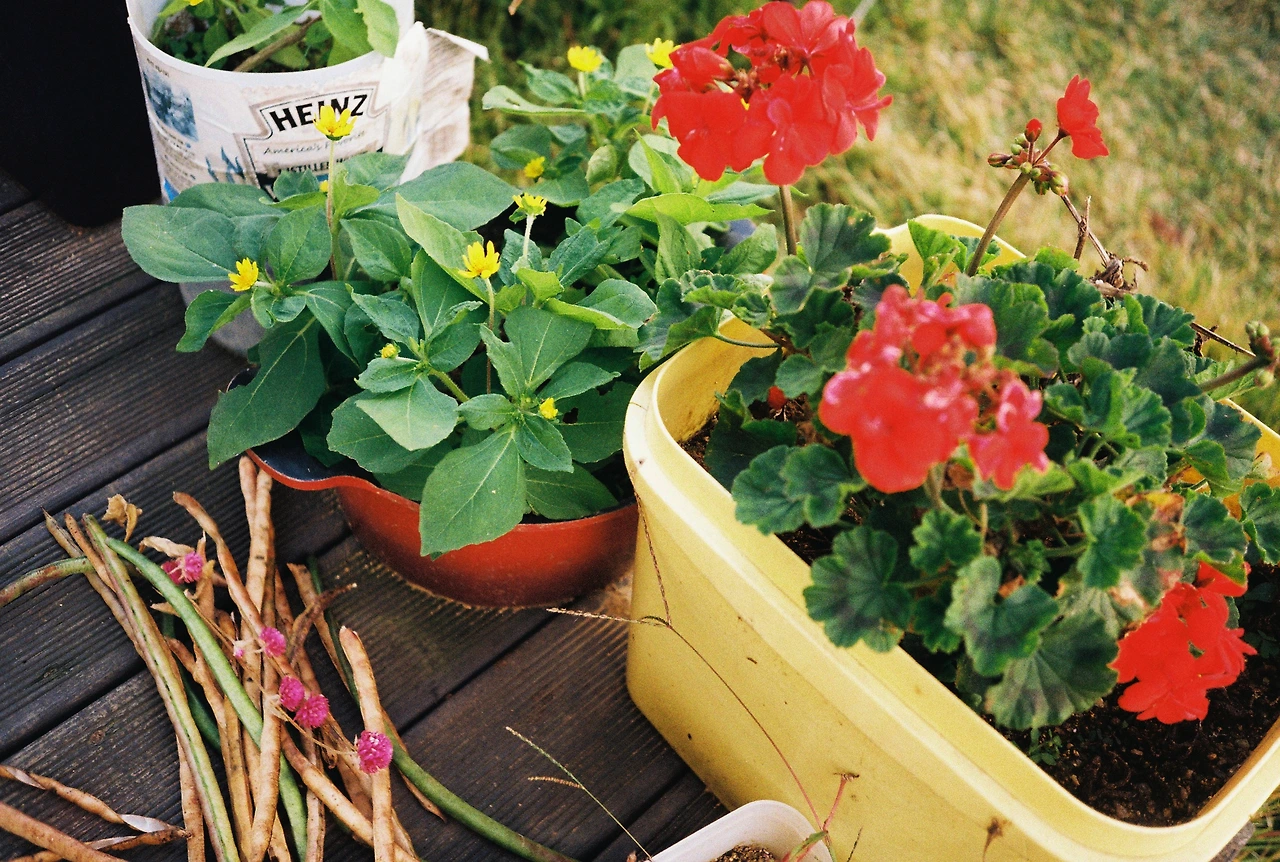 ~10월 22일 코닥 200 (14).JPG