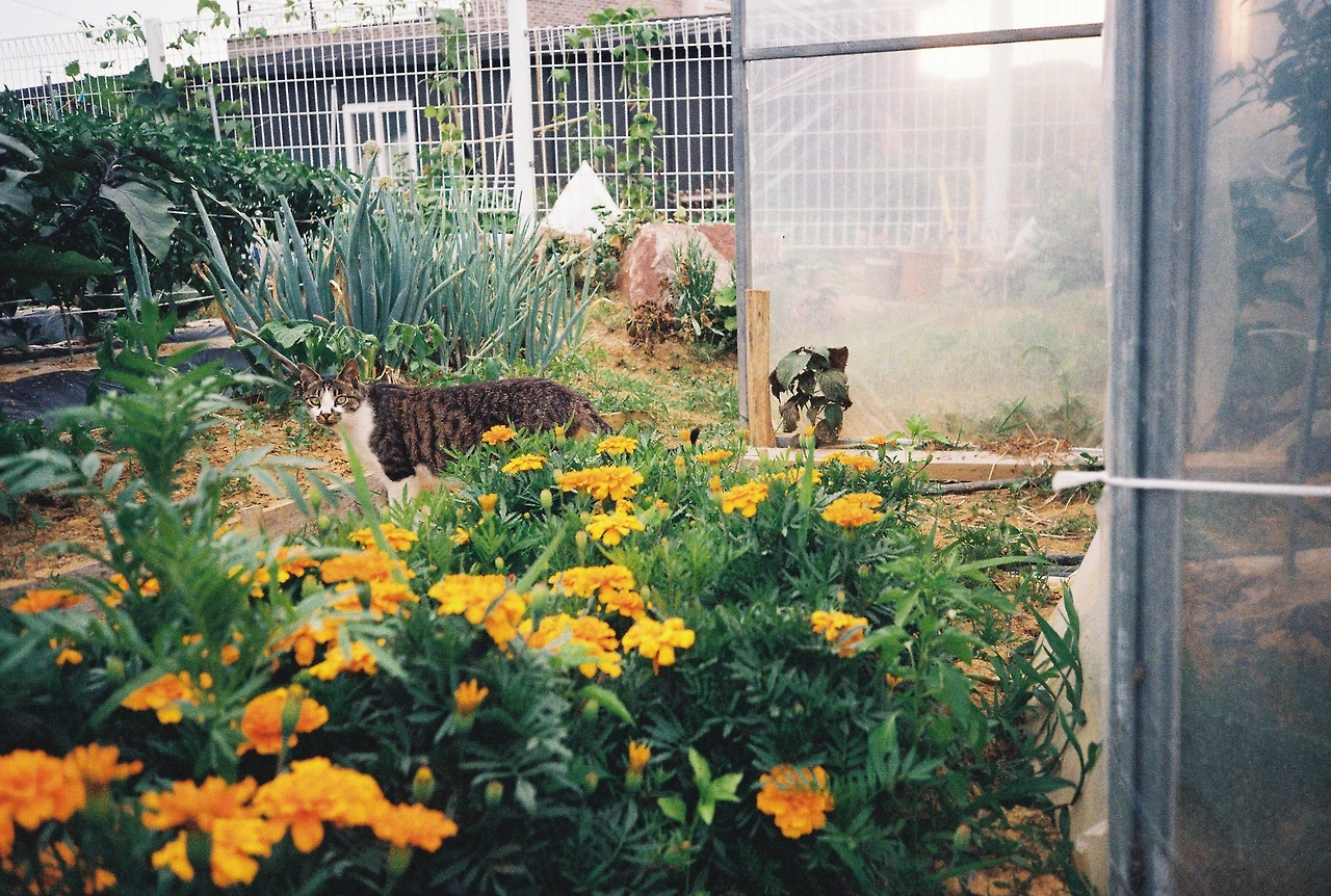 ~ 7월 22일 (4).JPG