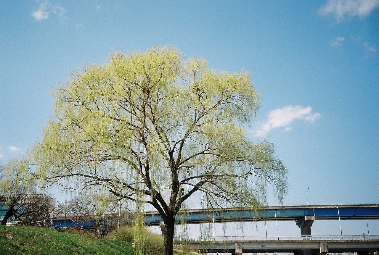 ~ 4월 7일 쯤 프로이미지100 (7).JPG