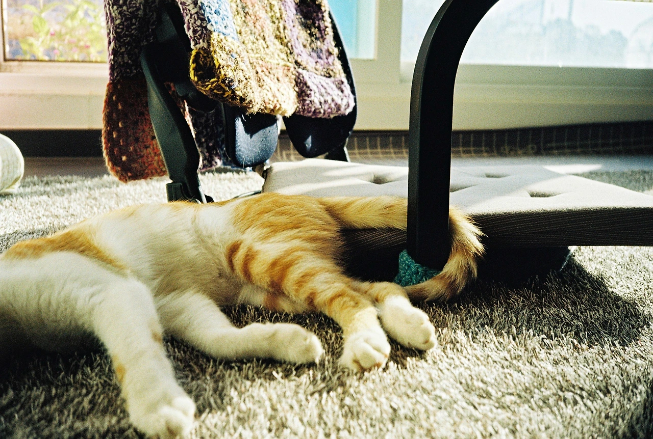 ~10월 8일 코닥 200 (7).JPG