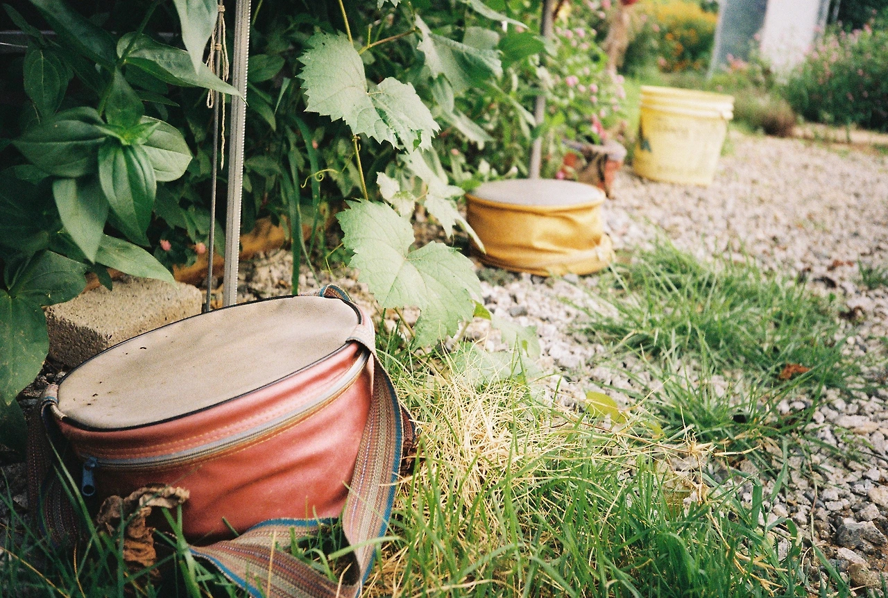 ~ 8월 20일 (10).JPG