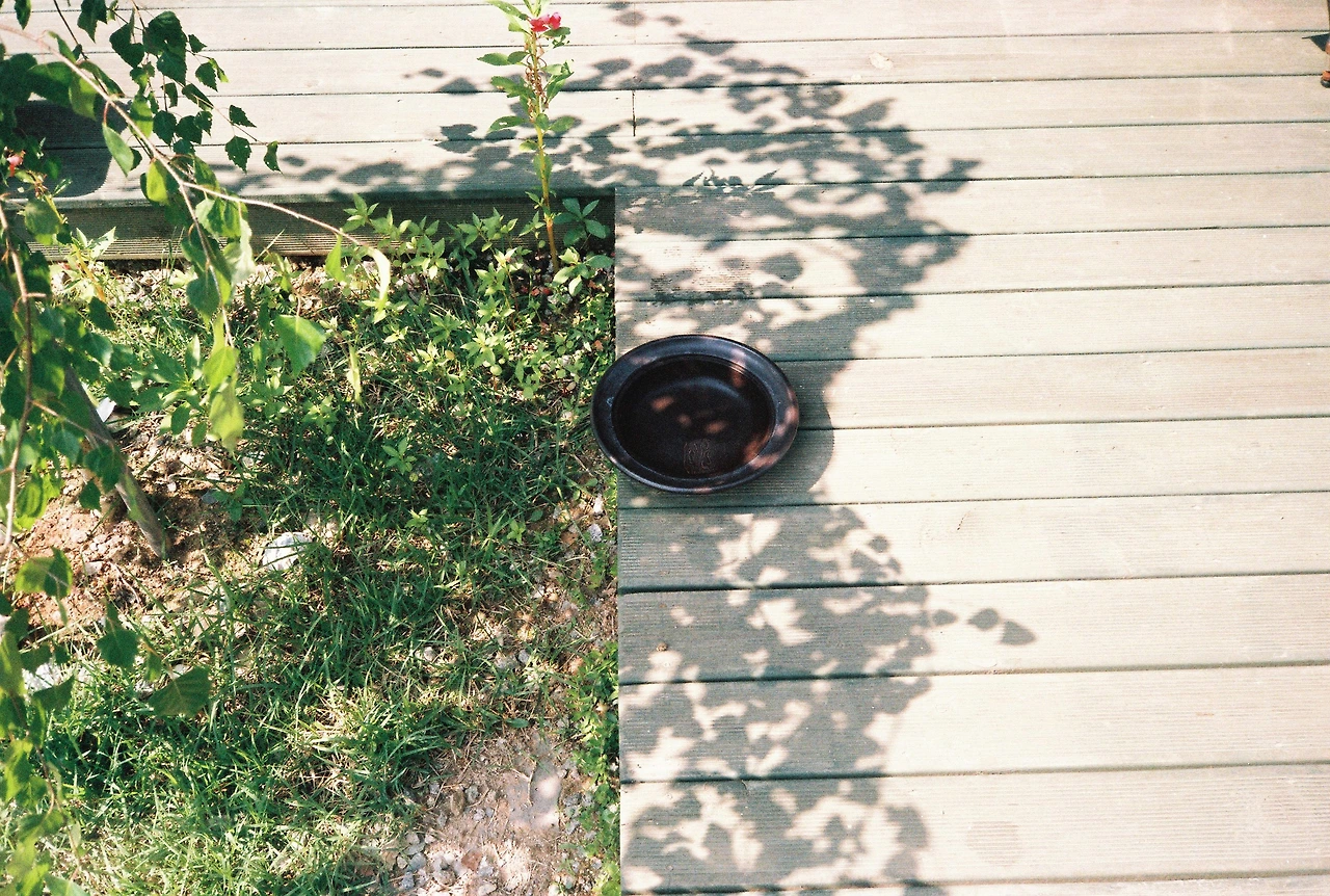 ~ 7월 6일 쯤 (1).JPG