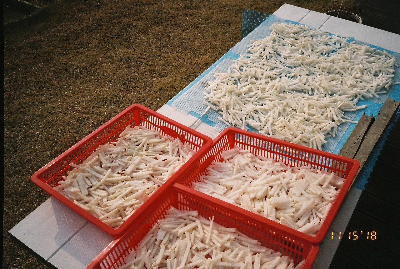 11월 16일 금요일 (4).JPG