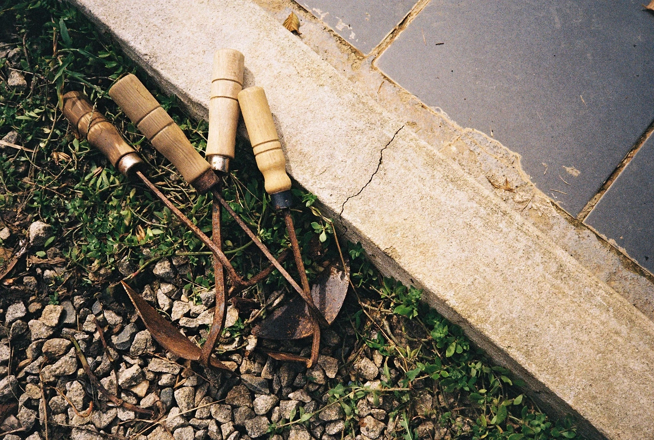 ~10월 8일 코닥 200 (11).JPG