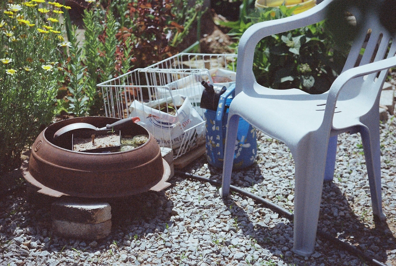 니콘필카 (22).JPG