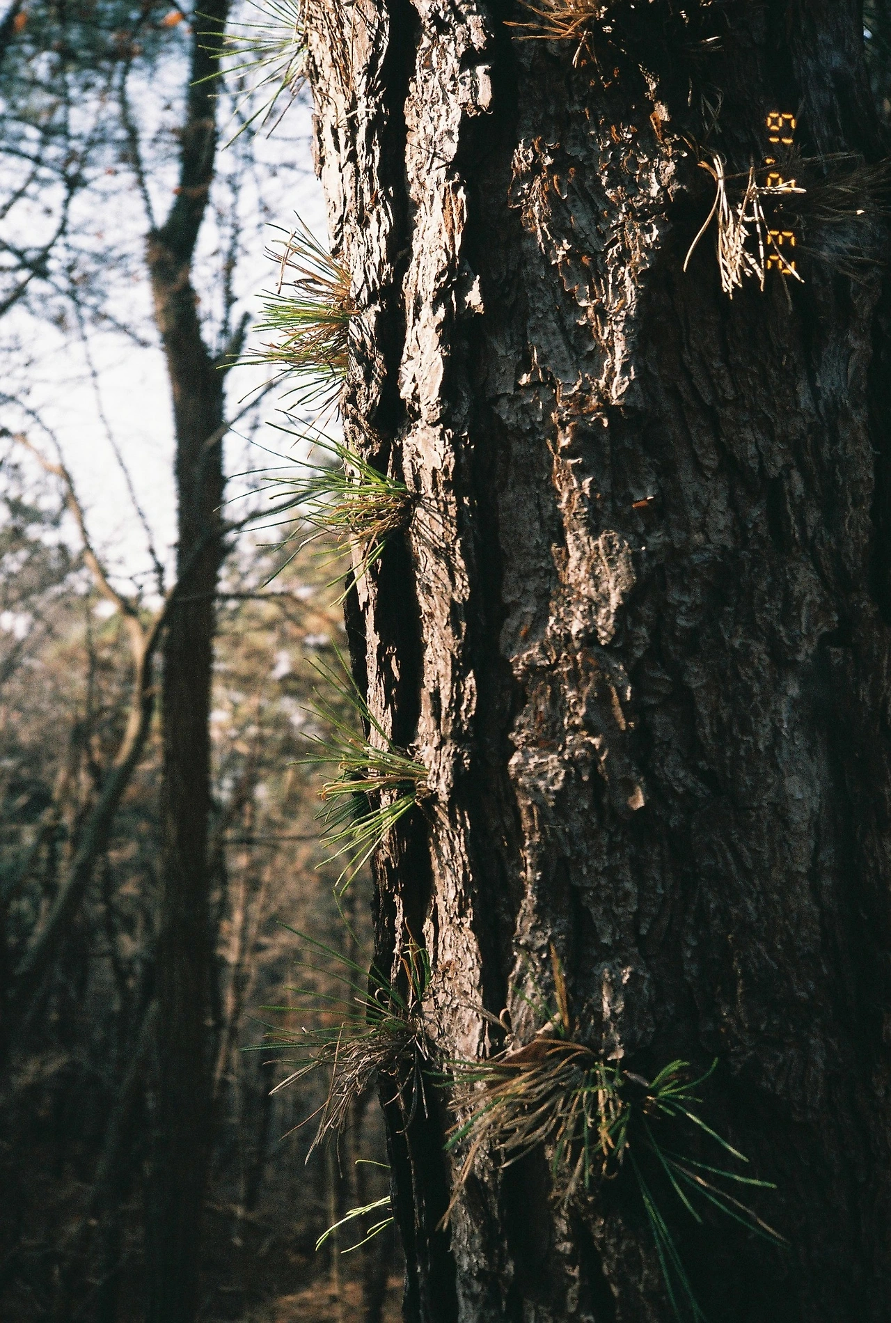 ~ 3월 후지 200_2롤 (14).JPG