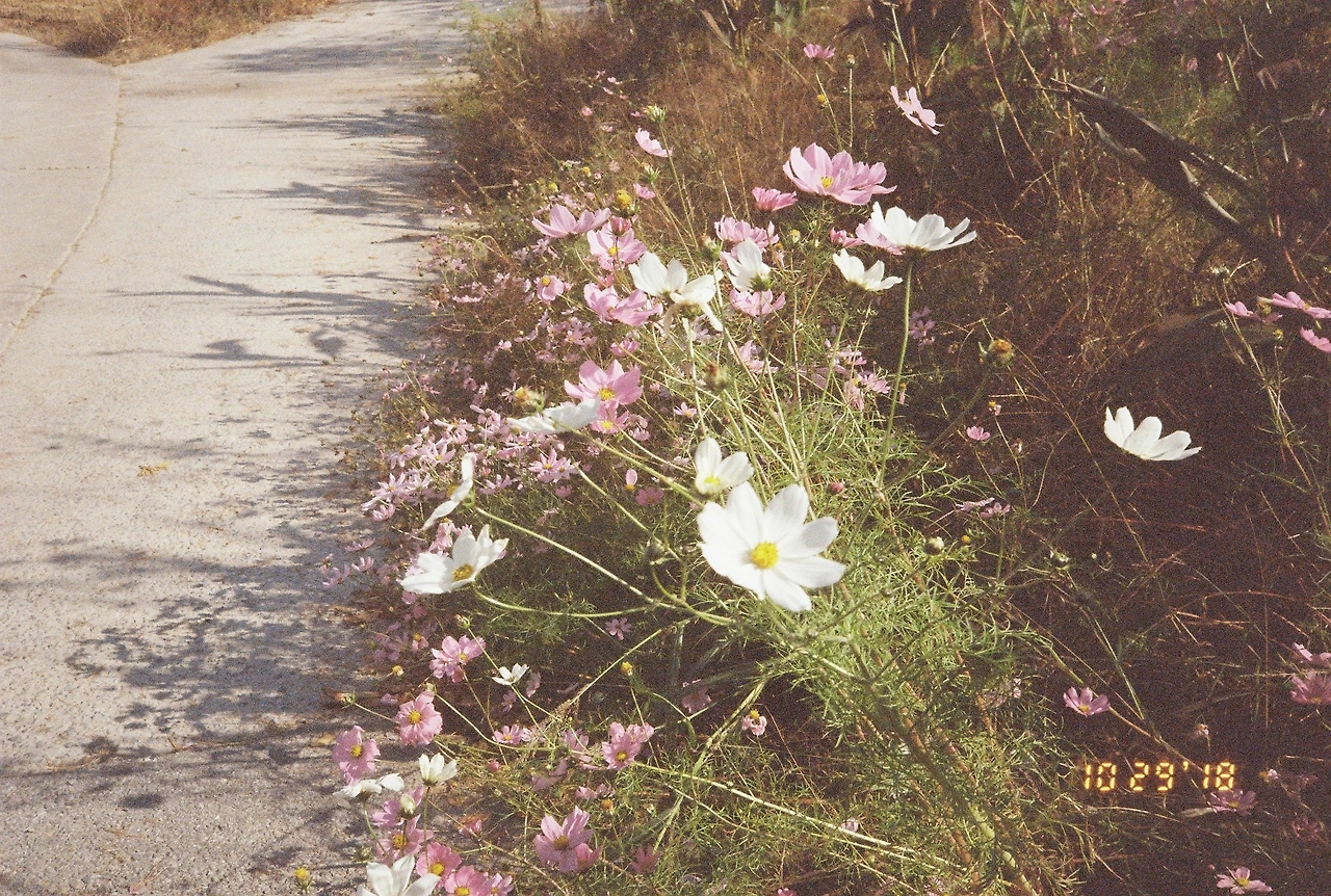 10월 30일 화요일.JPG