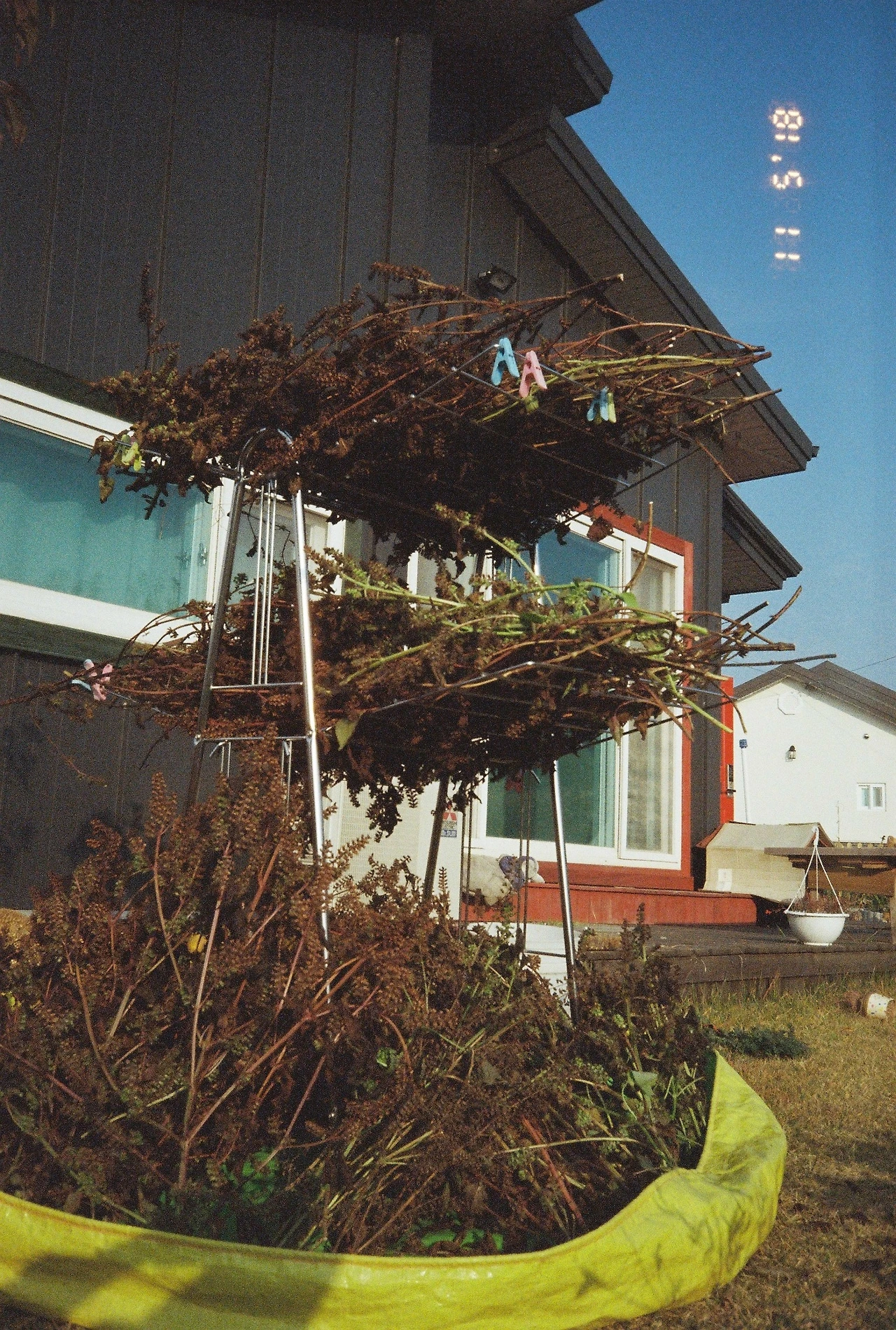 11월 6일 화요일 (10).JPG