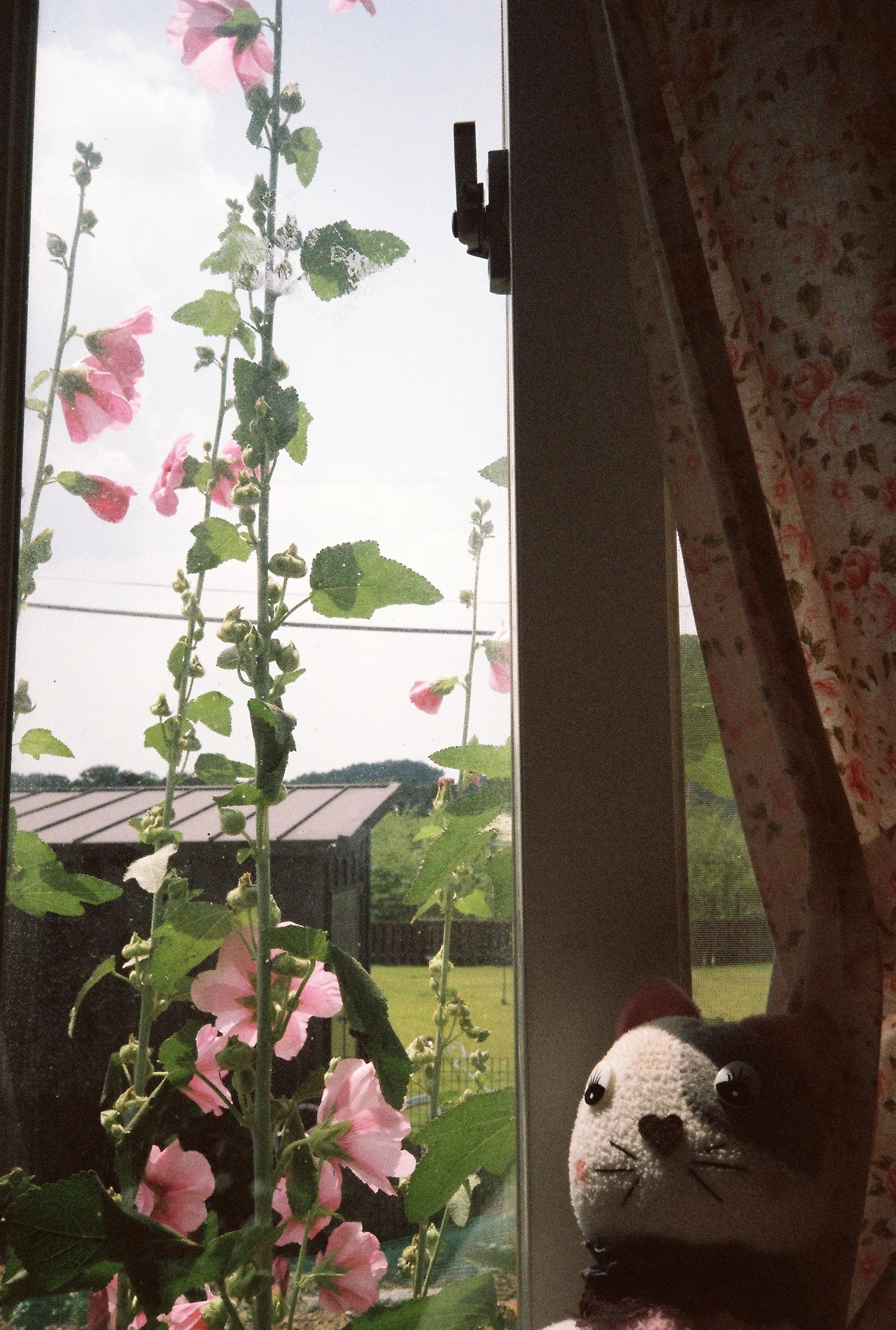 ~ 7월 6일 쯤 (8).JPG