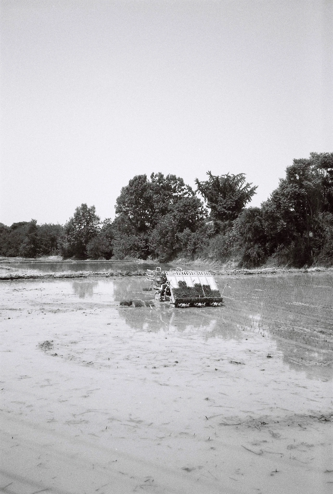 ~ 5월 22일 (7).JPG