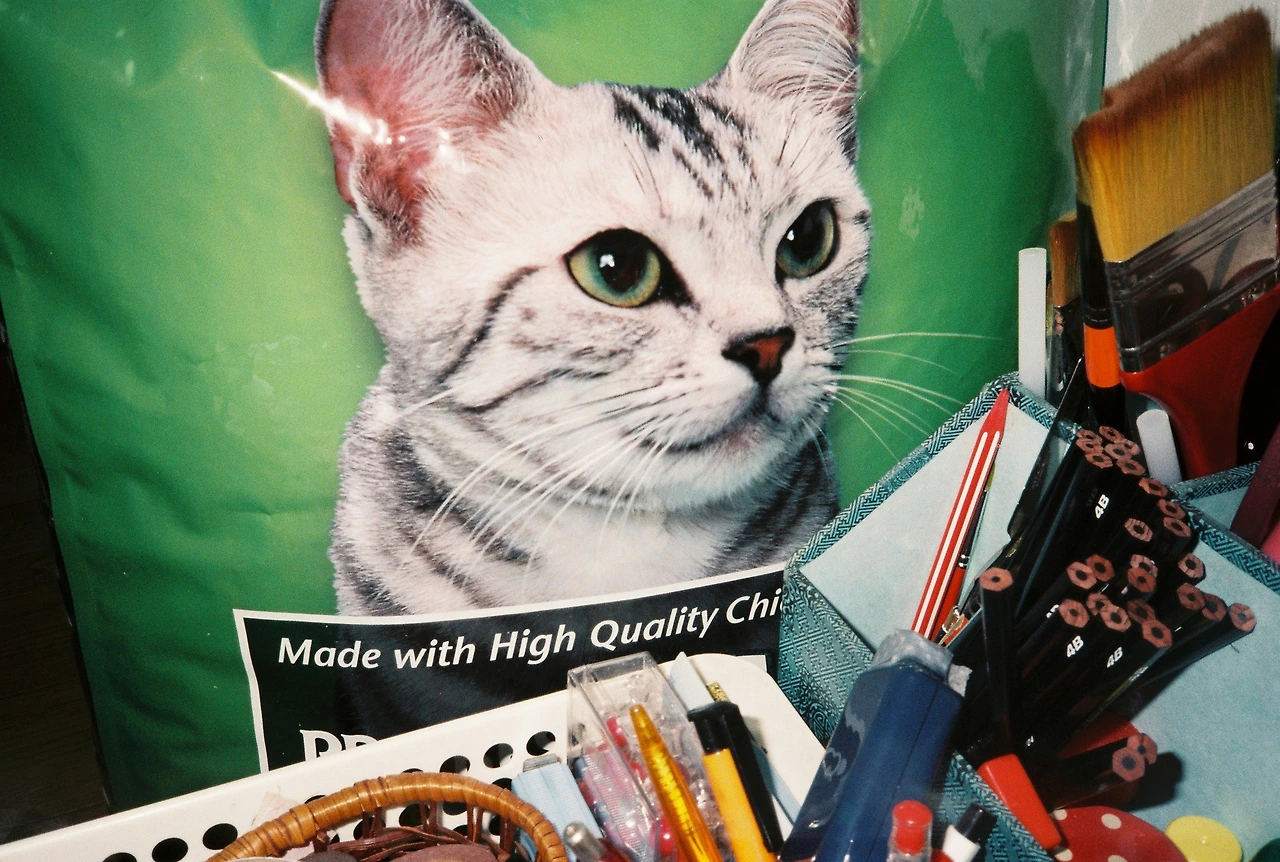 ~ 7월 6일 쯤 (2).JPG