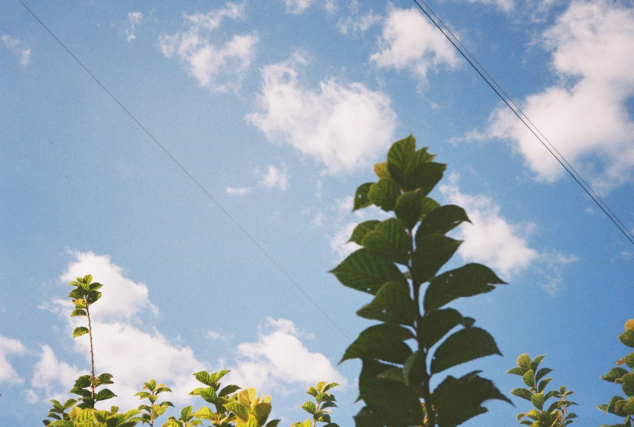 코닥200-1 (38).JPG