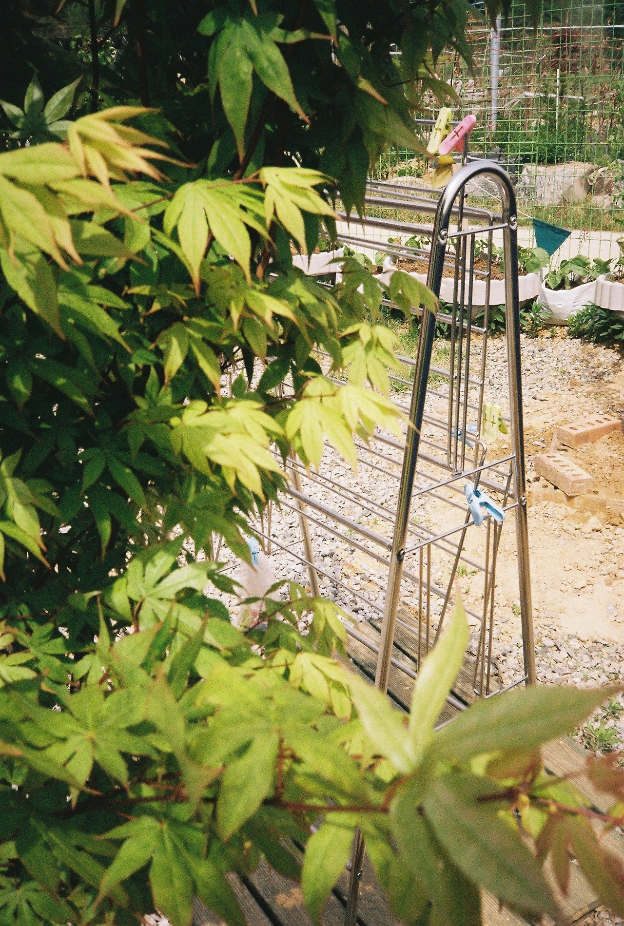 ~ 5월 1n일 코닥200_1롤 (7).JPG