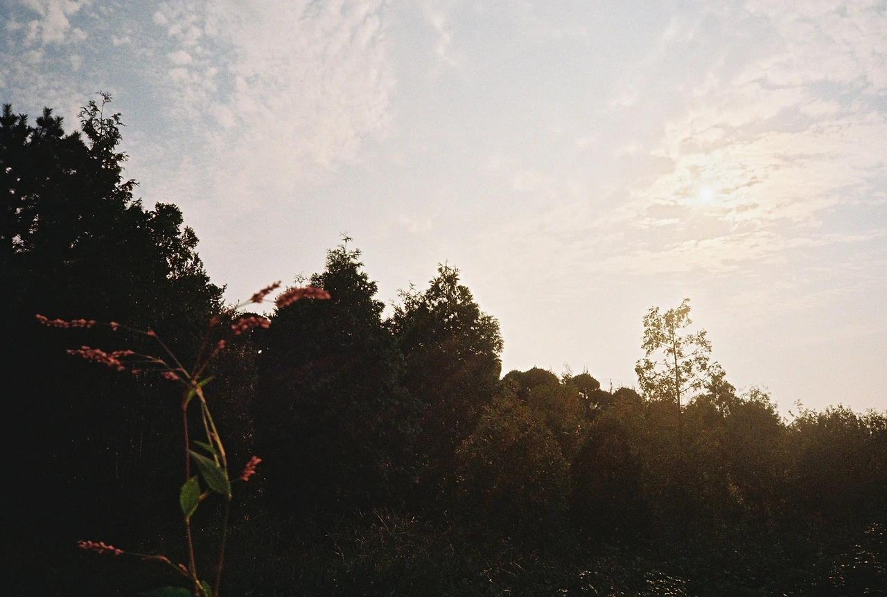 ~10월 8일 코닥 200 (18).JPG