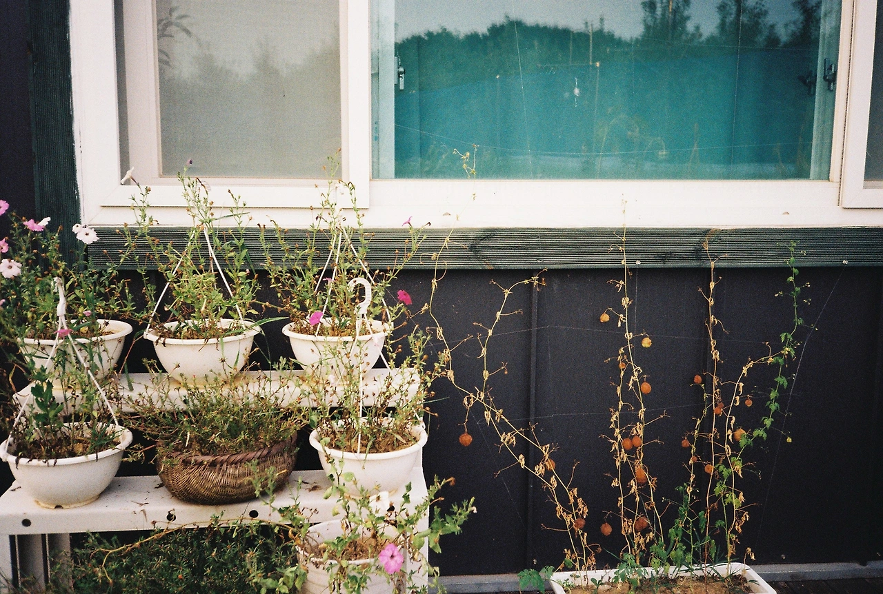 ~ 8월 20일 (8).JPG