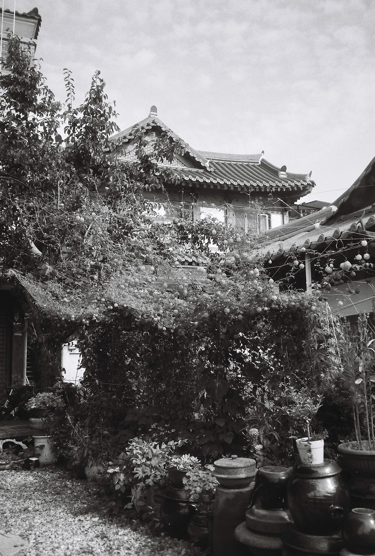 ~9월 17일 캔트미어 100 (19).JPG