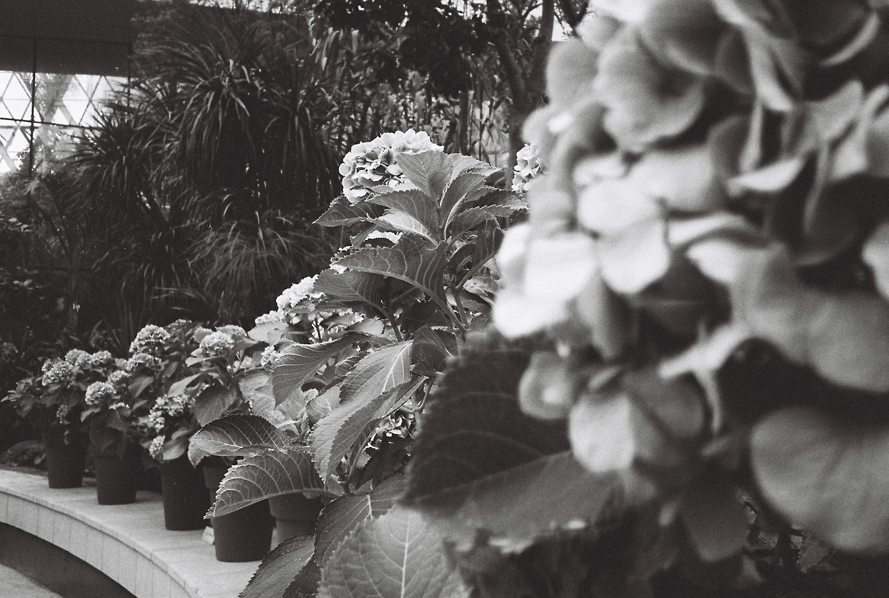 ~9월 10일 코닥 프로이미지 400 (14).JPG