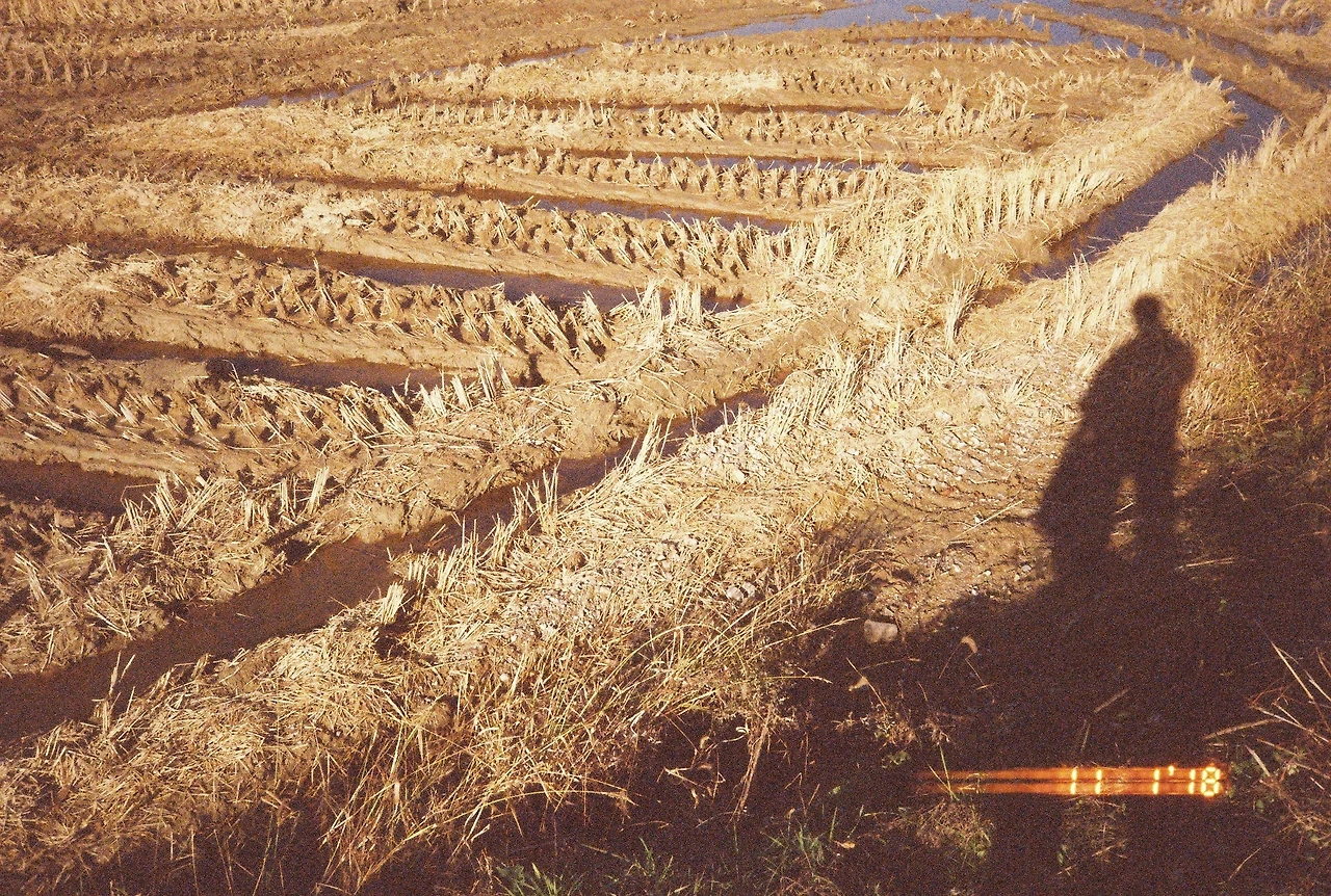 11월 2일 금요일.JPG