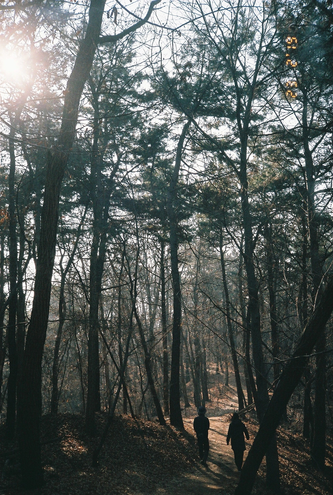 ~ 3월 후지 200_2롤 (13).JPG