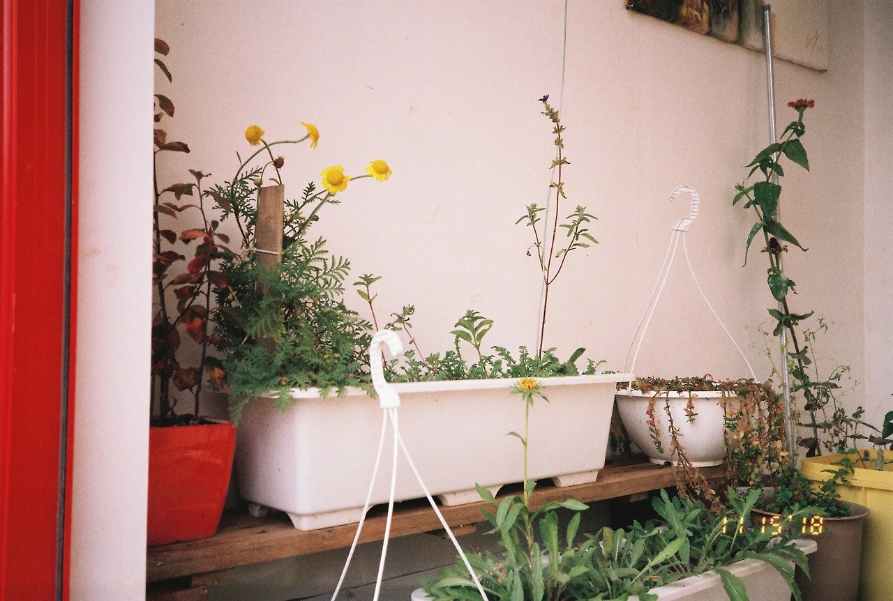 11월 16일 금요일 (3).JPG