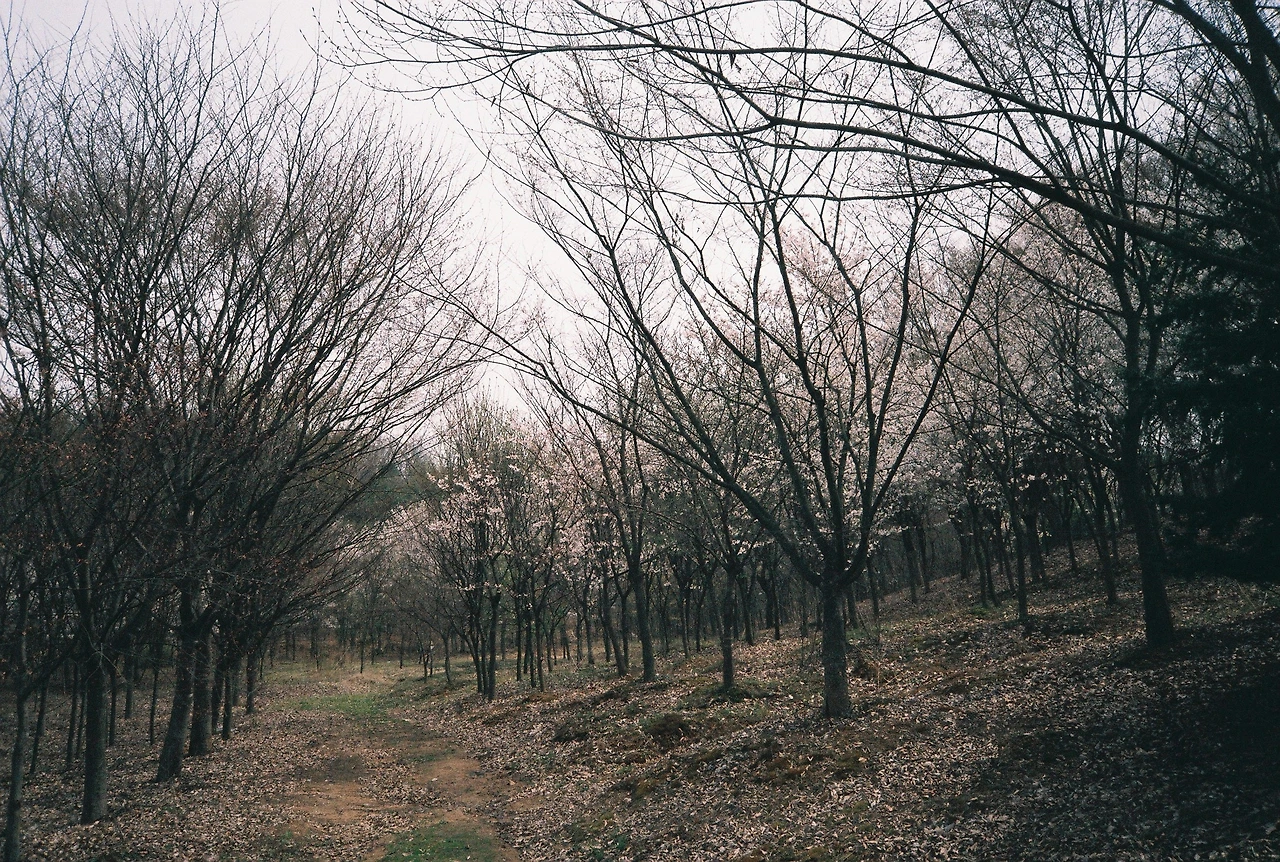 ~ 4월 11일 쯤 후지200_3롤 (13).JPG