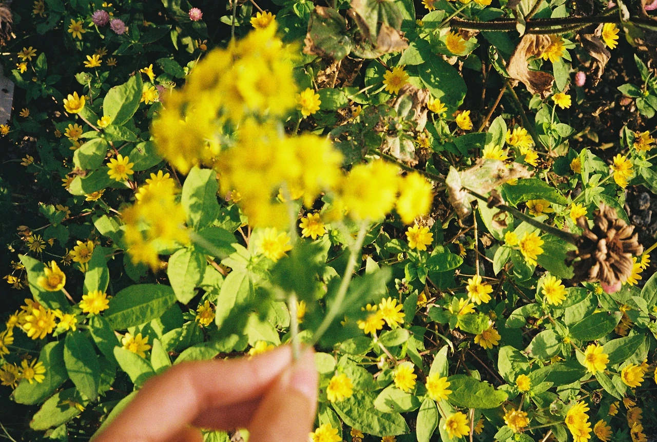 코닥200-1 (13).JPG