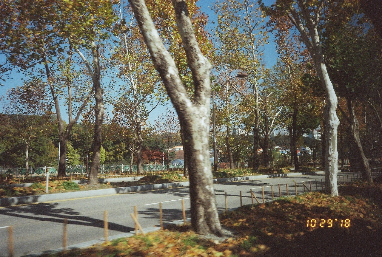 10월 30일 화요일 (2).JPG