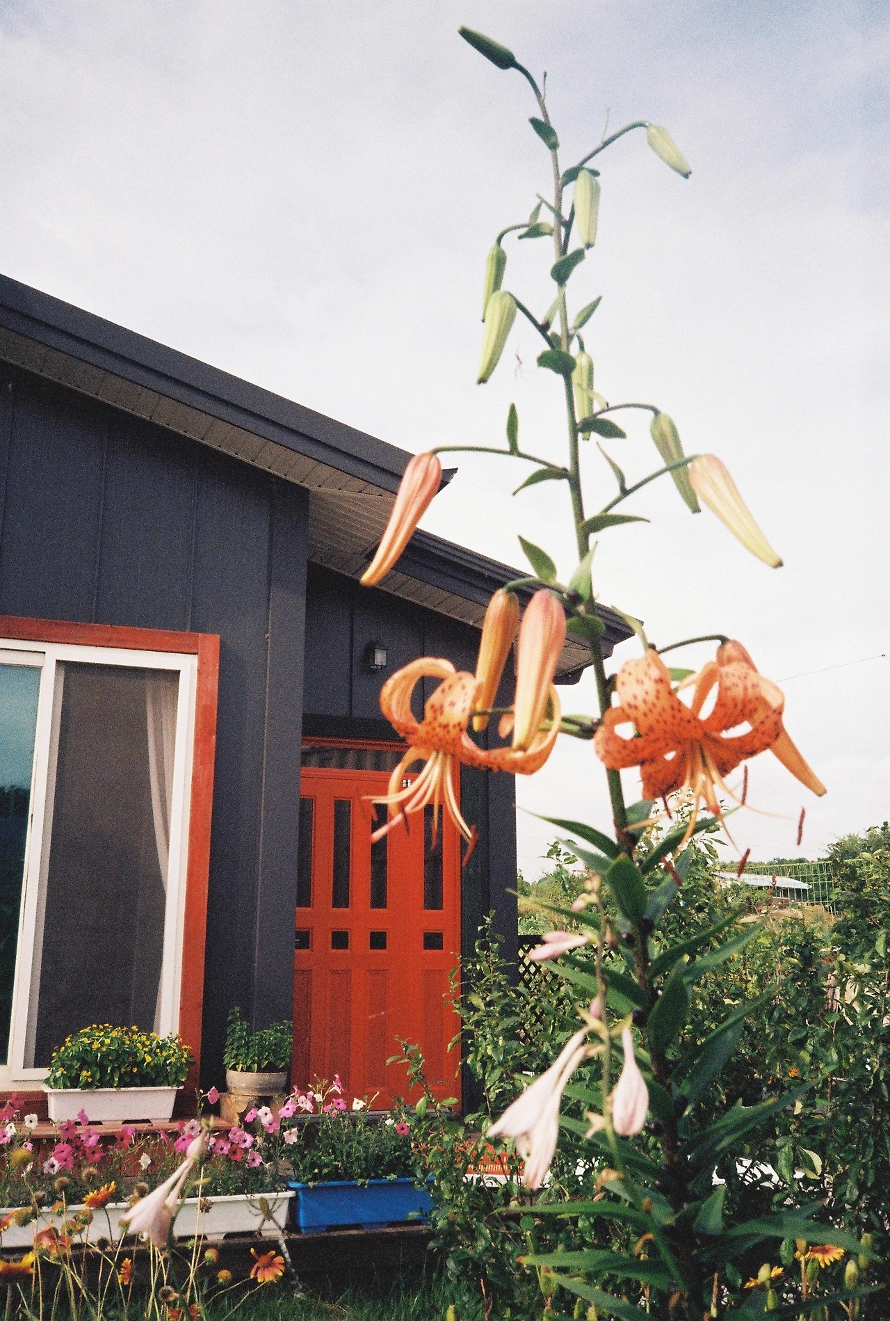 ~ 7월 22일 (21).JPG